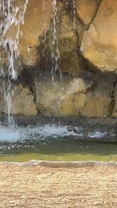 The only place to be today. 🥵 This great video is brought to you by Great American Insurance Group | Cincinnati Zoo & Botanical Garden