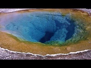 Archaea Cellular Structures and Adaptations