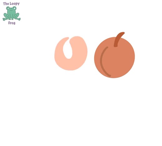 Sunset Sorbet Procreate Color Palette: Gradient Orange, Peach, and Apricot   BONUS Hex Codes - Etsy