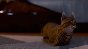 The 18th Attic - Official Teaser Trailer news