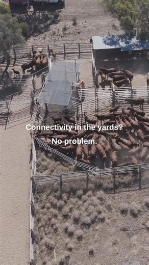 Stay connected at the yards with our Land Watch Links!  By spreading Wi-Fi across not only your cattle yards but all areas of your property, it will help you and your team work safer and more efficient. #wifi #connectivity #agtech #innovation #ruralaustralia #landwatchaustralia #farmsecurity #farming #cattle #stock #cattlestation | Land Watch Australia | Facebook
