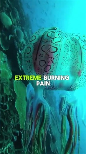 3 Animals With The Most Painful Bite/Sting On Earth