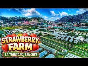 【4K】STRAWBERRY FARM LA TRINIDAD BENGUET | MARCH 2026 DJI NEO 2