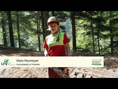 Ausbildung zum Forstwirt