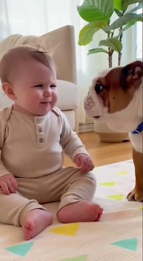 This Baby vs Dog Showdown Is Hilariously Adorable
