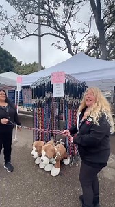 Walking two dogs at once? ❓This no-tangle double dog leash will change your life. ✨No more twisted leashes or messy walks. ❌甆‍♂️ It’s built with a 360° swivel  and bungee to absorb shock ⚡ — keeping you and your pups safe, comfy, and untangled. ️ Dog walking just got WAY easier.  Walk TWO dogs with ZERO stress!  This no-tangle dog leash is a game changer for double dog walks! 領 | Circulationk | Facebook