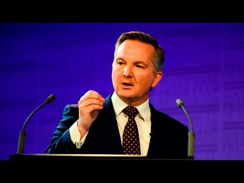 ‘Dutton-omics’: Opposition leader’s rising energy costs solution criticised