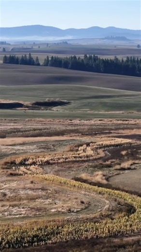 Double Barrel Ranch on Instagram: "❄️ Winter got you down? Come on out to the Double Barrel Ranch 🐶🪶💥for the finest upland bird hunting adventure around! The weather is great, the birds are flying, and if you’re looking for something fun to do this Christmas season, booking a hunt is easy and fast online. 🐕 At Double Barrel Ranch, our professional guides and top-tier bird dogs make every hunt smooth, safe, and unforgettable! 🎄 Bring your family, bring your friends, bring your co-workers—hav