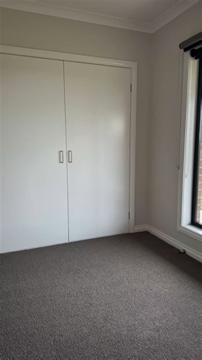 Looking for a single to double stroller? Say hi to Olive  Some of...