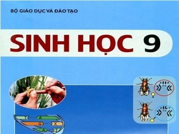 Những diễn biến cơ bản của NST trong quá trình nguyên phân | SGK Sinh lớp 9