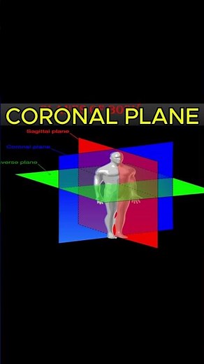 Coronal Plane Made Easy ⚡ #anatomy #medicosstuff #biology #medicalschoolcommunity #nurse #mbbs