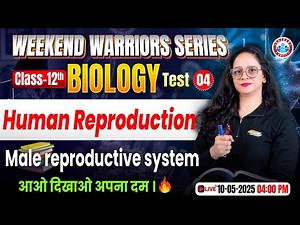 Human reproduction - Male Reproductive System | Weekend Warrior Series | Class 12th Biology UP Board