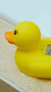 The rubber duckie has made its mark as a classic bath toy for little ones — but this version is for parents too! Our Duck Bath and Room Thermometer not only keeps baby entertained, but also helps you get the water temperature just right.  ⁠ ⁠ #Parenting #Parenthood #Motherhood #Dreambabysafety #BabyEssentials #Bath #BathTime #NewParents #BabySafety #ParentingEssentials #ParentingReels | Dreambaby | Facebook