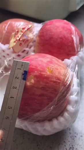 Cockatiels bite mainly because they are scared, confused, hormonal Read in Description