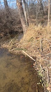 Exhausted Dam Removal #EcoRestoration #beaverdam #asmr #Draining #beavercounty #WildlifeHabitat #satisfyingvideos | Zachary Farmer