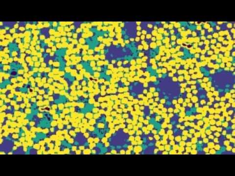 Tutorial Micrography-imgpro ITBA Rocketry