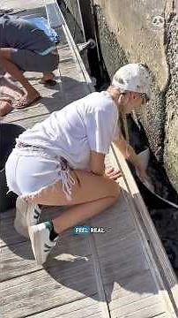 10 Fascinating Animal Behaviors You Must See 😲 Part 1