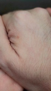 181_check out this beautiful brown recluse spider #animals #science #spider #brownrecluse #fakesituation #fakebody #cgi | Venom Man