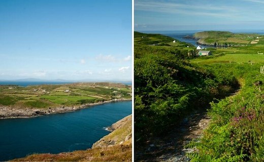 Cape Clear Island Guide: Things to do, Ferry, Food