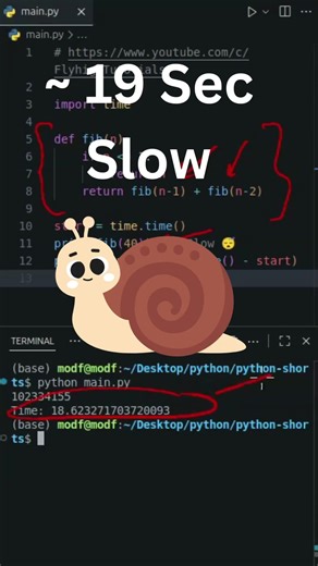 🚀 Make Python 280,000x Faster with ONE Line! | @lru_cache #python #pythonprogramming #coding #code
