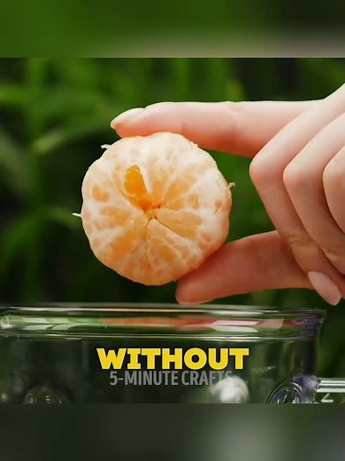 12 Amazing Science Tricks That Look Like Magic 🤯 | Easy DIY Experiments at Home