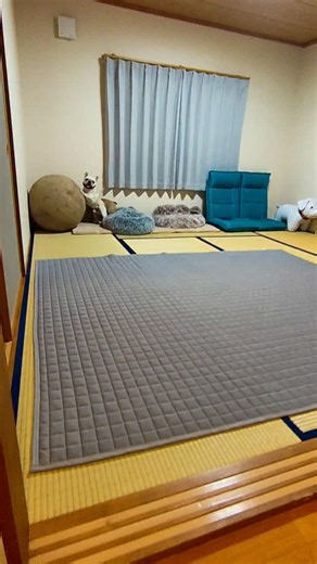 Kenji Mirai on Instagram: "受けてみろ！バランスボール８号だ！ ※バルスボールではなく、バランスボールでした。 ７号までのボールは裸のままだったけど、8号は鎧を纏った優れもの！いくらやっても破れない！ これなら、ラッキーくんでもヨーダでも破れないぞ😆かかって御座れ😁 まずは明日のプラス３ブヒ。いざ尋常に（笑） #ふれんちぶるどっぐfrenchbulldog #バランスボール #フレブルのいる生活 #別荘ライフ #那須ライフ"