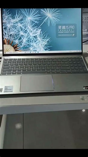 戴尔Pro灵越15笔记本电脑