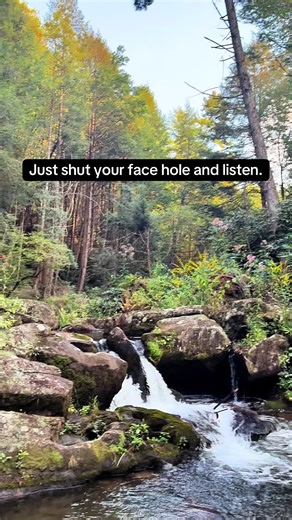 Swamp Thing (@swamp_thing3)’s videos with original sound - Swamp Thing