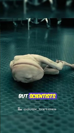 🧬🐺 Scientists Are Using GENETIC EDITING to Bring Back the Dire Wolf