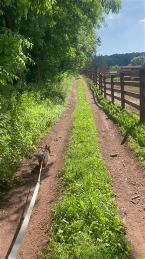 Hallie on a farm