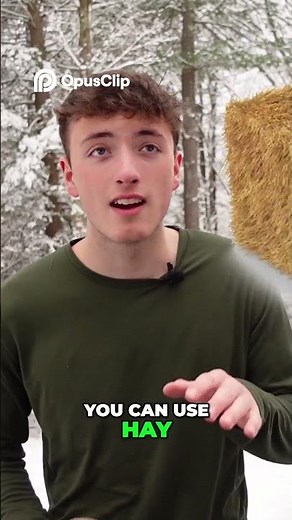 How to Start a Profitable Mushroom Farm