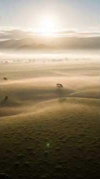 "Ancient Hunting: Human Battle Against Giant Ostriches#"3DCinematic #WildlifeBattle #shortvideo