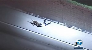 12K views · 21K reactions | Go Fetch Boy  #badenk9 #mikemcconnery #dog #training #quotes #malinois #family #girl #dogs #instagood #puppies #cute #puppy #k9 #dutchshepherd #germanshepherd #instagram #dogtraining #workingdog #veterans #protectiondog #truth Video :abc7 | Baden K-9 | Facebook