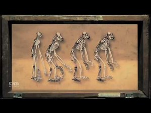 A Dangerous Idea | Charles Darwin's Brave New World