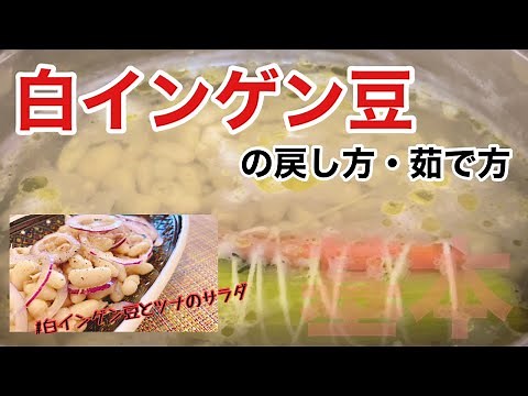コツを抑えて♪【白インゲン豆の戻し方・茹で方】イタリア郷土料理に欠かせない！豆の茹で方基礎(♪音声解説有り)