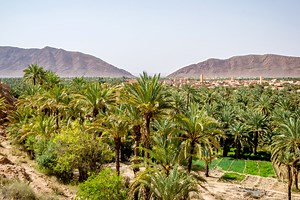 Meteo Figuig - Maroc (Oriental) : Prévisions Meteo GRATUITE à 15 jours - La Chaîne Météo