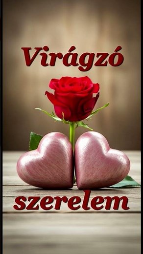 Virágzó szerelem - Lírai DAL #szerelmesdal #újrakezdés #romantikus