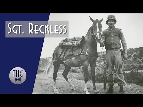 Sgt. Reckless