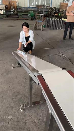 Understanding Belt Conveyor Systems for Efficiency