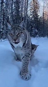 Stunning Nature | Travel magazine