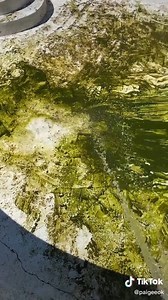 59M views · 410K reactions | 4 araw para linisin ang swimming...