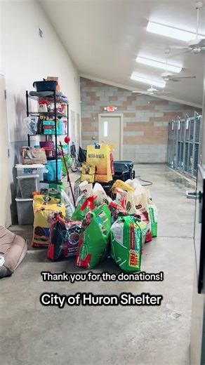 We are incredibly humbled by the recent donations of food, bedding, toys, and medical supplies. Seeing the community step up for our animals is truly inspiring, and we are putting every bit of it to good use immediately. A special thank you to Westside Rescue for their continued donations and volunteer outreach. Note on Volunteering: We’ve had so many people reach out to help! We are currently finalizing our volunteer program and will be contacting everyone who expressed interest very soon. We c