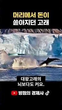 The Whale That Poured Money Out of Its Head | What's Inside a Sperm Whale's Head?