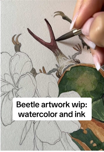 Beetle Artwork Creation: Watercolor and Ink Techniques