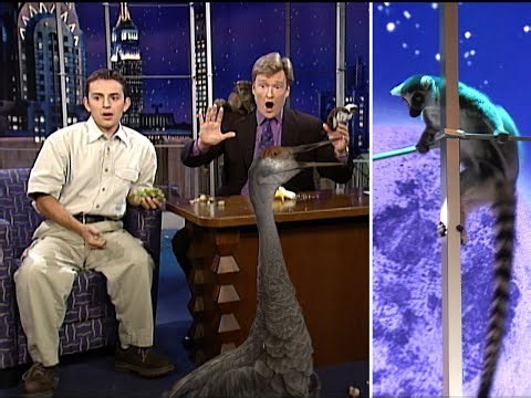 Lemur vs. Crane | Late Night with Conan O’Brien