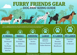 Dog Paw Size Chart, Best 3 Ways To Size Dog's Paws (Helpful)