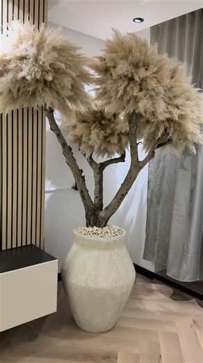 2.5M views · 31K reactions | These are not just branches. Our pampas...