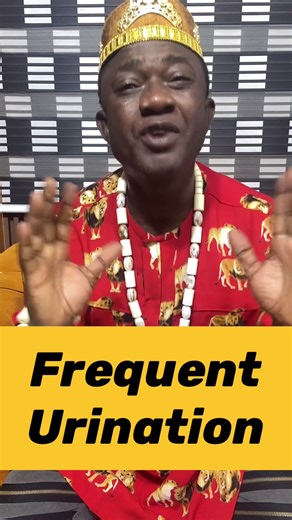 Understanding Frequent Urination: Causes and When to Seek Help