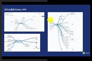 ES APM 全观测实战