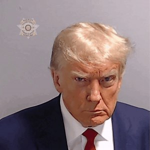 Donald Trump Trump Mugshot Meme - Donald trump Trump mugshot Donald trump mugshot - Descubre y comparte GIF